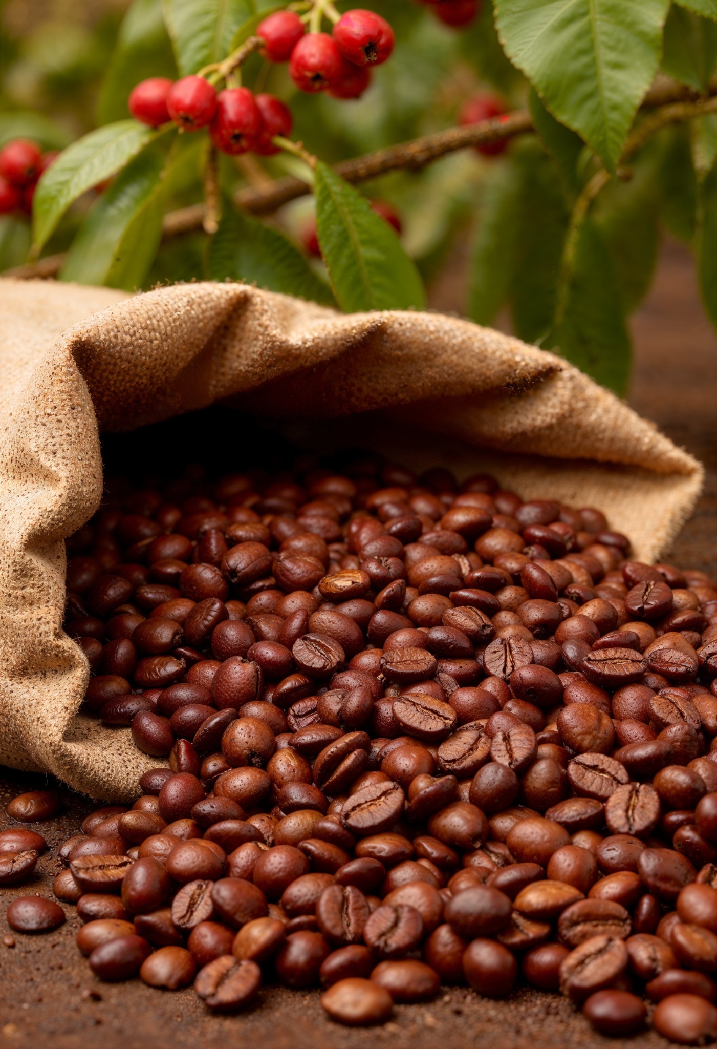 Fresh roasted coffee beans for custom blends